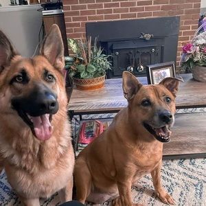 Meet your Posher, Debbie